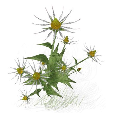 Beyaz arka planda izole dağınık grungy çiçekler