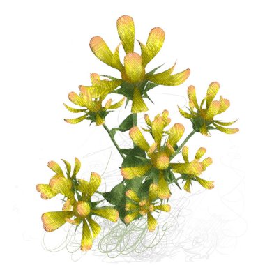 beyaz arkaplanda yeşil yapraklar izole