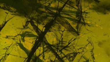 Metin için yeri olan boya lekeleriyle soyut arkaplan  