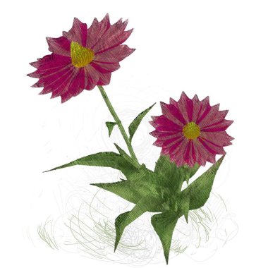 Beyaz arkaplanda izole edilmiş pembe çiçekler