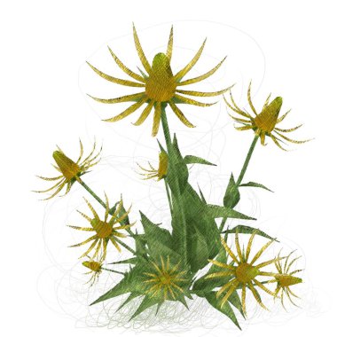 Beyaz arkaplanda izole edilmiş noel ağacı