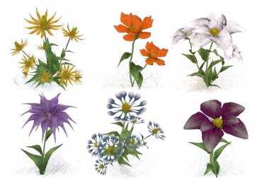 Beyaz arkaplanda güzel çiçekler