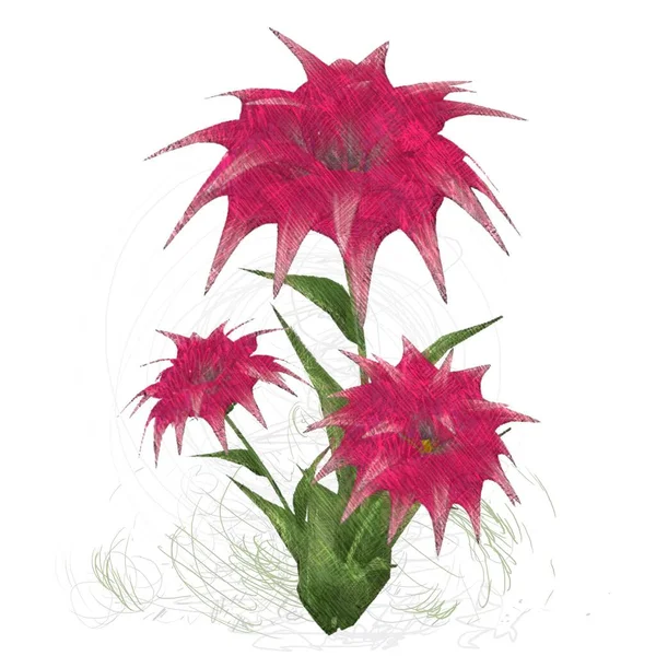 Akvarell Blommor Isolerad Vit Bakgrund — Stockfoto