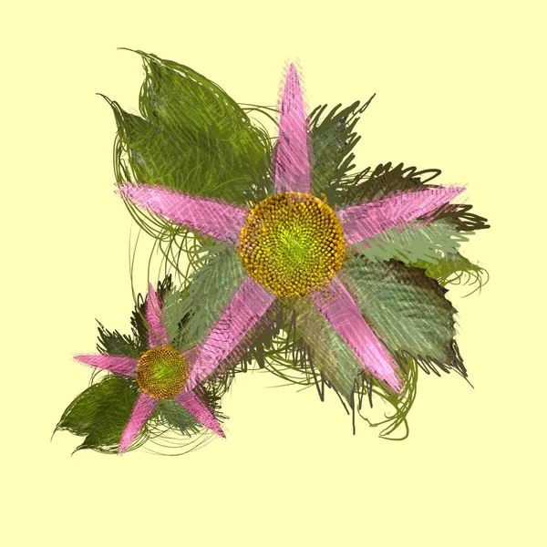 Illustratie Decoratieve Geïsoleerde Bloem Afbeelding Bloemen Illustratie Vintage Botanisch Kunstwerk — Stockfoto