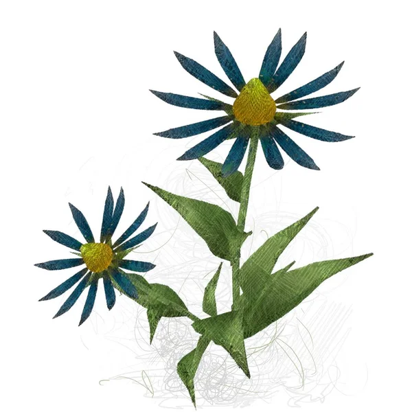 Vector Illustratie Van Tropische Bloemen — Stockfoto