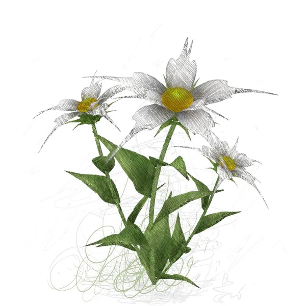 Messy Grungy Flowers Isolated White Background — Stock Photo, Image