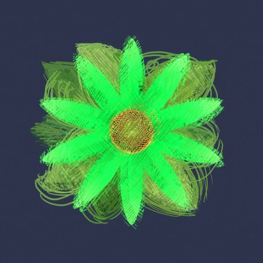 siyah arka plan üzerinde renkli çiçek