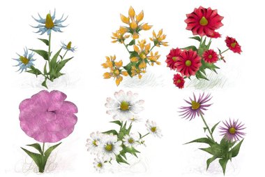 Beyaz arkaplanda güzel çiçekler