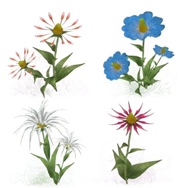 çiçekler ile suluboya çiçek deseni