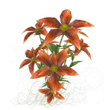 beyaz arka plan üzerinde izole kırmızı palmiye ağacı