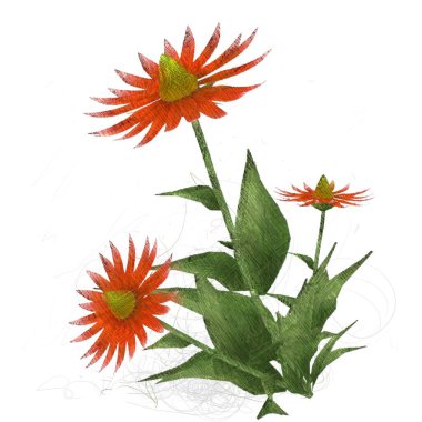  2D çizim. Dekoratif olarak izole edilmiş çiçek resmi. Çiçek İllüstrasyonu. Klasik botanik çizimleri. El yapımı çizim. Botanik resmi.