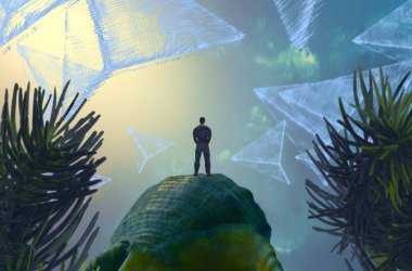 palmiye ağacı kadınla