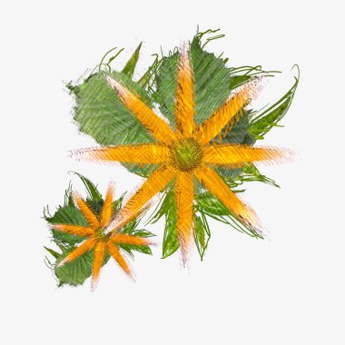 Beyaz arkaplanda izole edilmiş noel ağacı