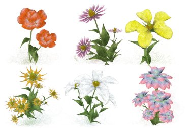 Beyaz arkaplanda güzel çiçekler