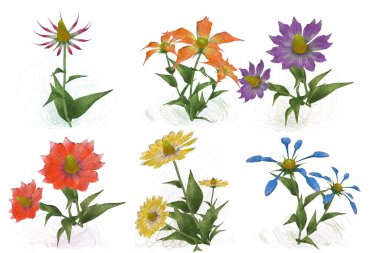 Beyaz arkaplanda güzel çiçekler