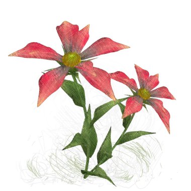 Beyaz arka planda izole dağınık grungy çiçekler