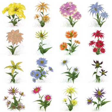 Beyaz arkaplanda güzel çiçekler