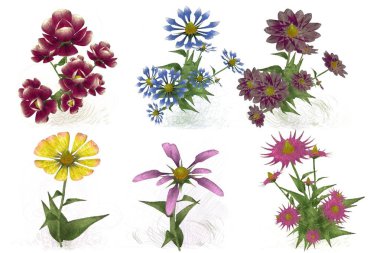 beyaz zemin üzerine suluboya çiçek