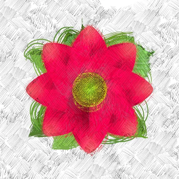 Beyaz arkaplanda kırmızı güller