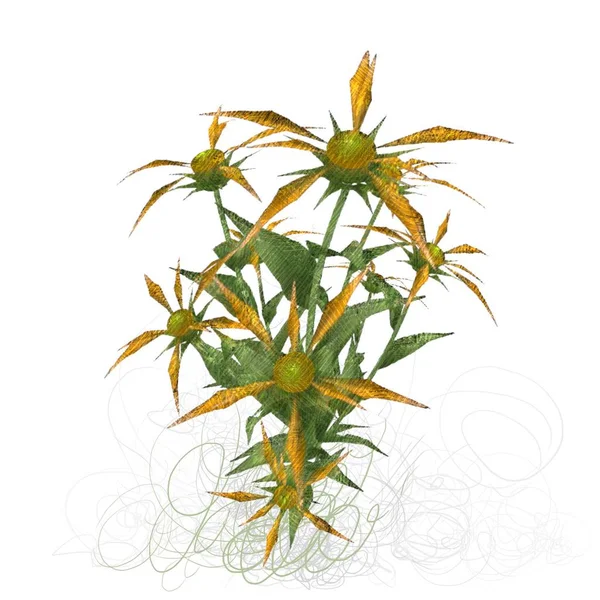 Stökigt Grungy Blommor Isolerade Vit Bakgrund — Stockfoto