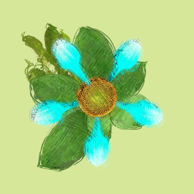 Renkli çiçek doku arka plan 