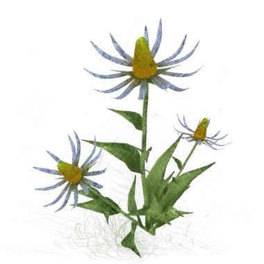 Beyaz arkaplanda güzel çiçekler 