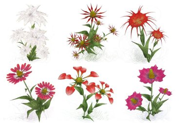 Beyaz arkaplanda güzel çiçekler