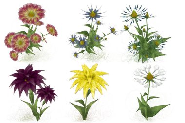 Beyaz arkaplanda güzel çiçekler