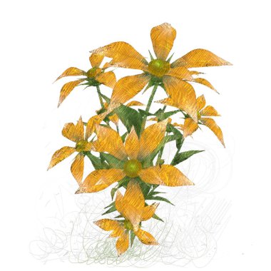 Beyaz arkaplanda güzel çiçekler 