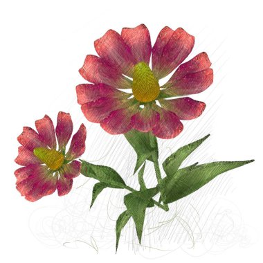 Beyaz arkaplanda izole edilmiş pembe çiçekler