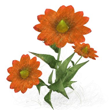 Beyaz arkaplanda izole edilmiş güzel çiçekler