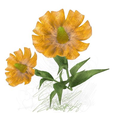 Beyaz arka planda izole dağınık grungy çiçekler