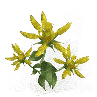 beyaz zemin üzerine suluboya çiçek