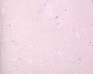 boya lekeleri ile grunge arka plan