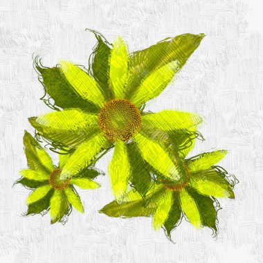 Dekoratif çiçek resmi. Çiçek İllüstrasyon. Vintage botanik sanat. El yapımı çizim.