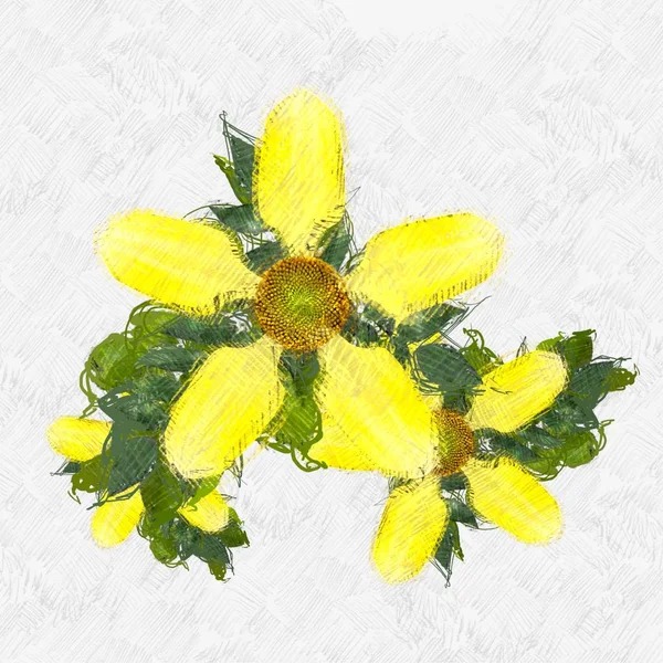 Gelbe Blumen Auf Weißem Hintergrund — Stockfoto