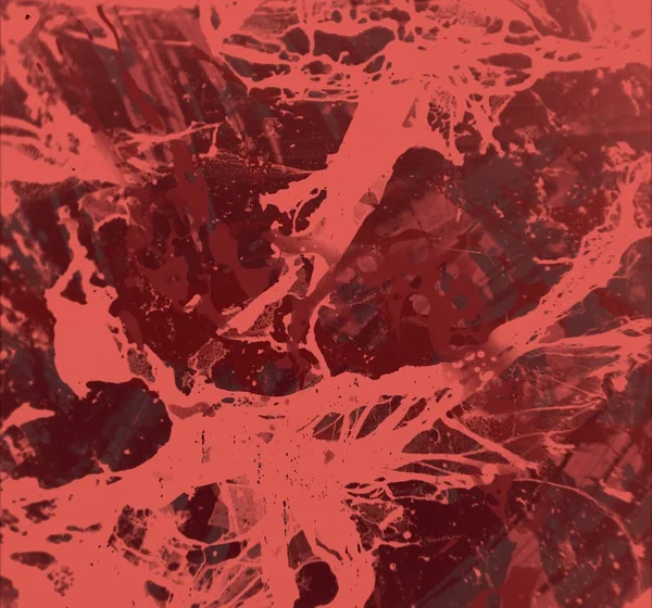 Kırmızı yaprakları ile arka plan