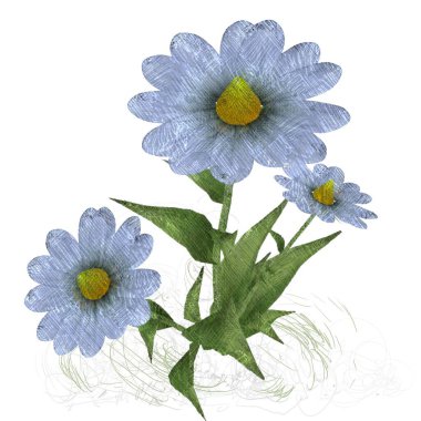 beyaz arka plan üzerinde güzel çiçek çiçekleri