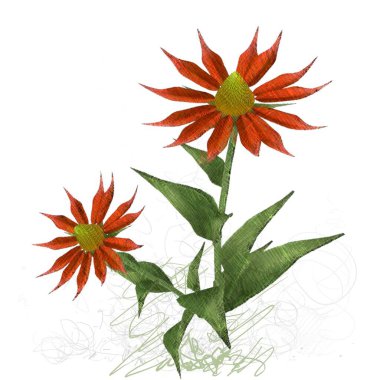 Beyaz arkaplanda güzel çiçekler 