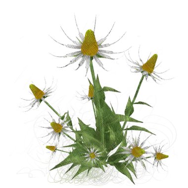 Beyaz arka planda izole dağınık grungy çiçekler