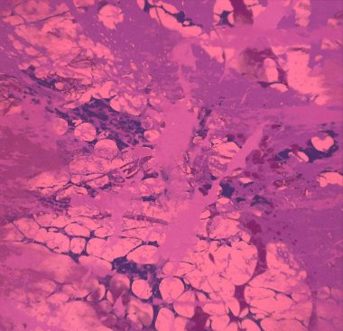 metin için alanı olan grunge arkaplanı      