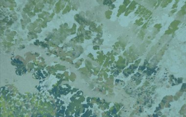 metin için alan ile arka planda soyut renkli lekeler