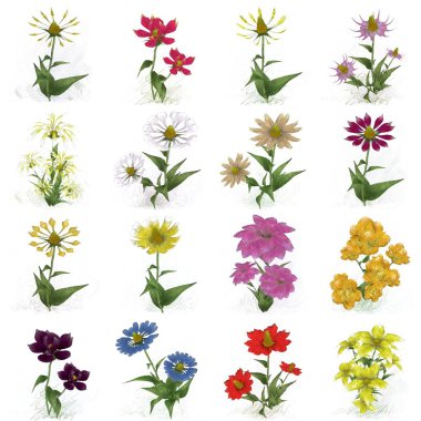 Beyaz arka planda güzel suluboya çiçekler