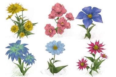 Beyaz arkaplanda güzel çiçekler