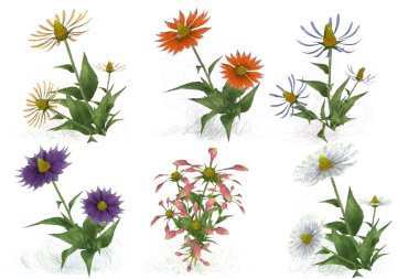 Beyaz arka planda suluboya çiçekler seti