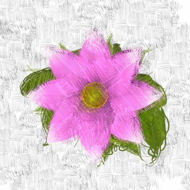 Beyaz arkaplanda pembe çiçekler