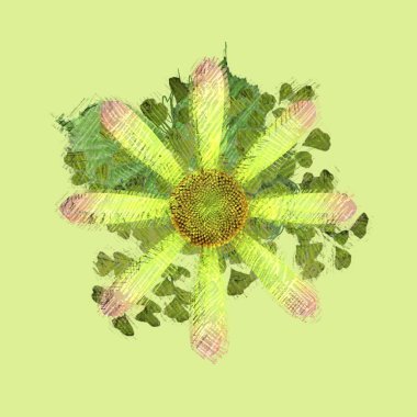 beyaz arkaplanda çiçek