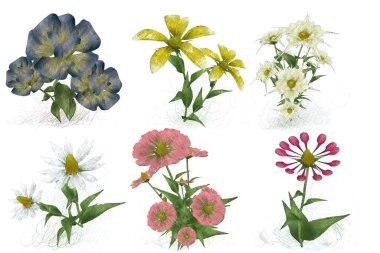 Beyaz arkaplanda güzel çiçekler