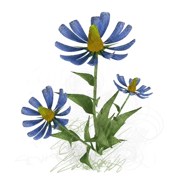 Vektorillusztráció Virágokról — Stock Fotó