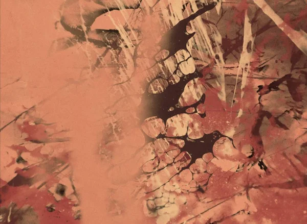 metin için alanı olan grunge arkaplanı    